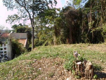 Terreno - Venda - Loteamento Caminhos de San Conrado - Campinas - SP